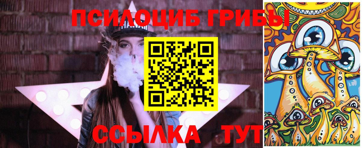 Протвино  Галлюциногенные грибы Psilocybine cubensis  Вход с VPN 
