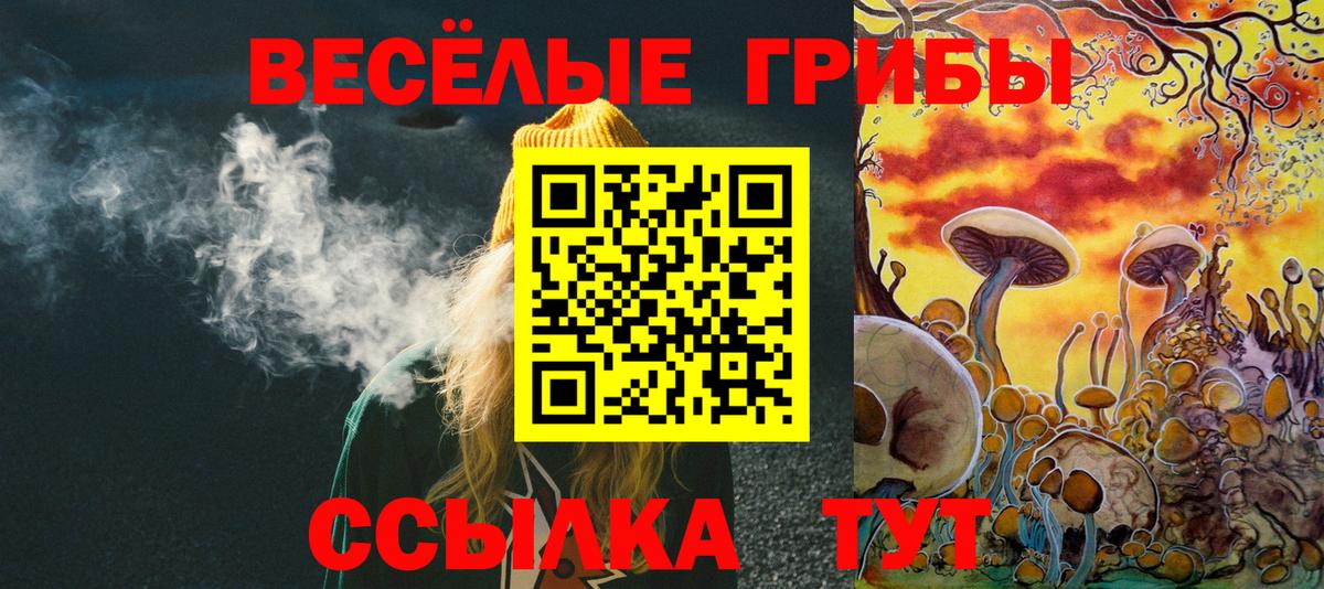 Галлюциногенные грибы Psilocybe Протвино